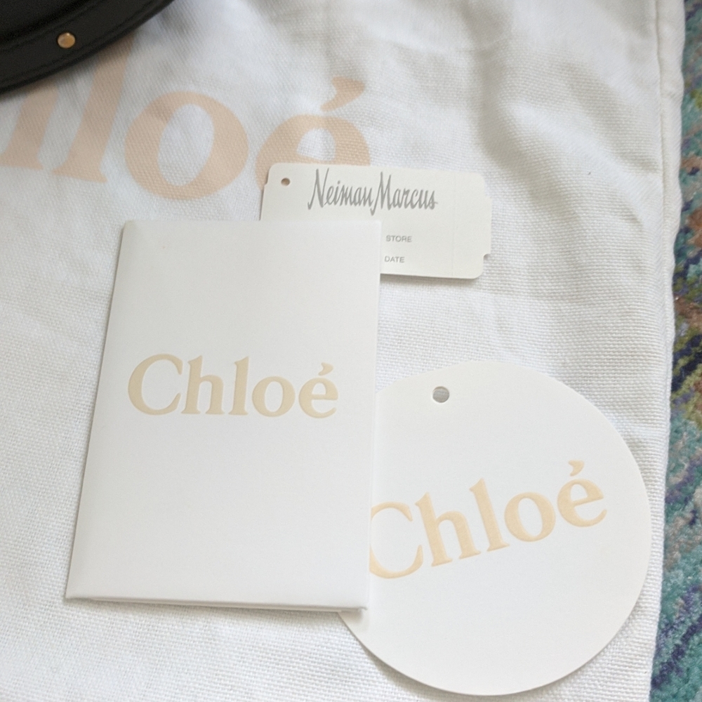 Chloe Pixie Small Handbag - image 4